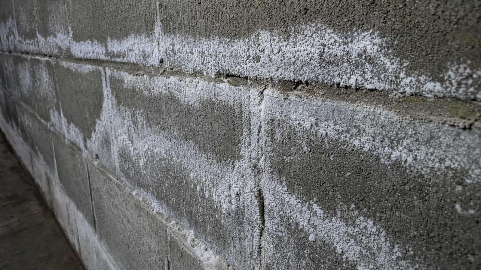 White Powder on Basement Walls: What Efflorescence Means