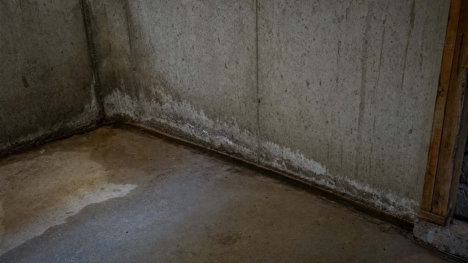 Why Woodbury and East Metro Homes Get Wet Basements